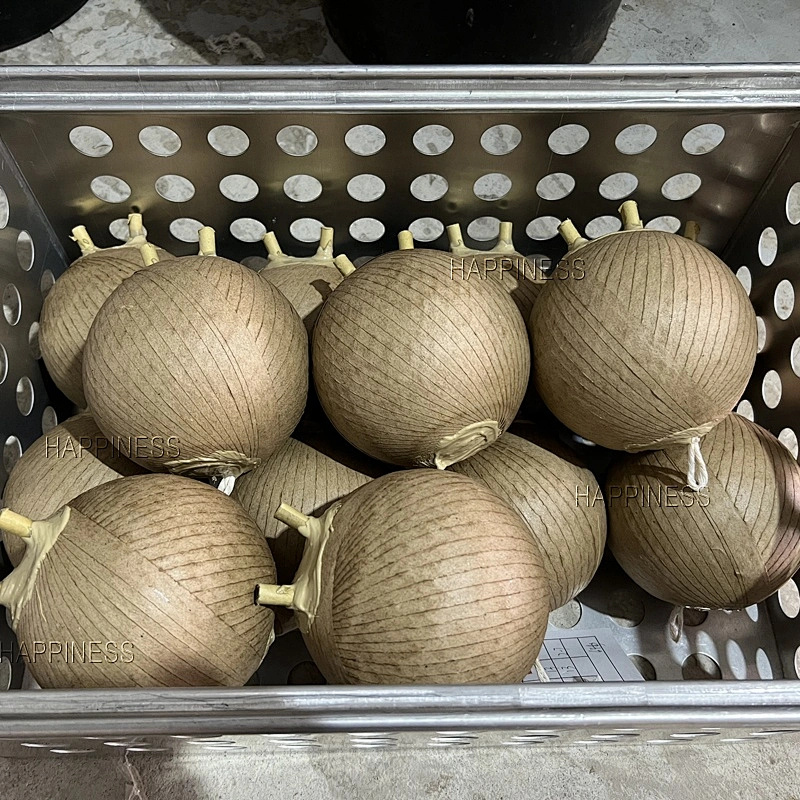 Professional Firework Paper Ball Shell Wrapping Bachine