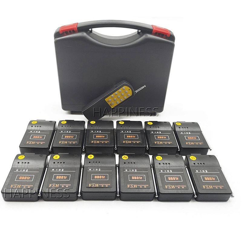 HAPPINESS X1 Series 12 Cue Pyro Channel Pyro firing System Haze Machine Remote Controlled