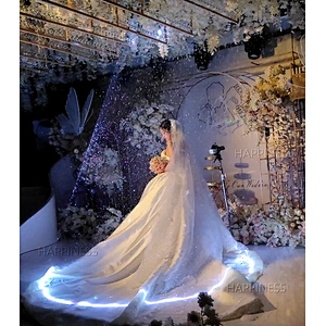 10W Full Color Laser Light Bar Stage  RGB LED  Laser Wedding Laser Light