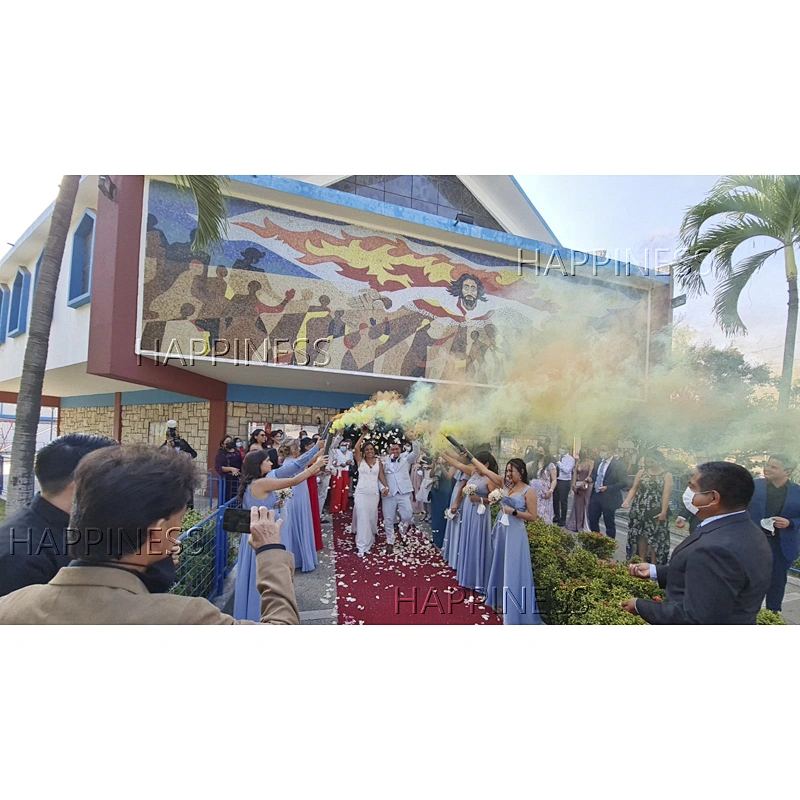 Handheld Cold Fountain Fireworks Pyro for Weddings & Events Metal Stage Firing System with Spark Effect New Year Shooter Gun