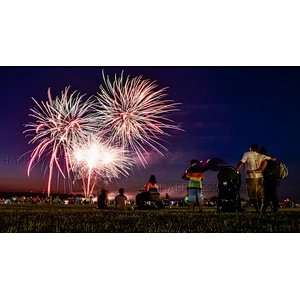 Professional Wire Control DBW03AUTO 24 Cue Fireworks Firing System Kit for Wedding Display Shells and Consumer Fireworks Shows