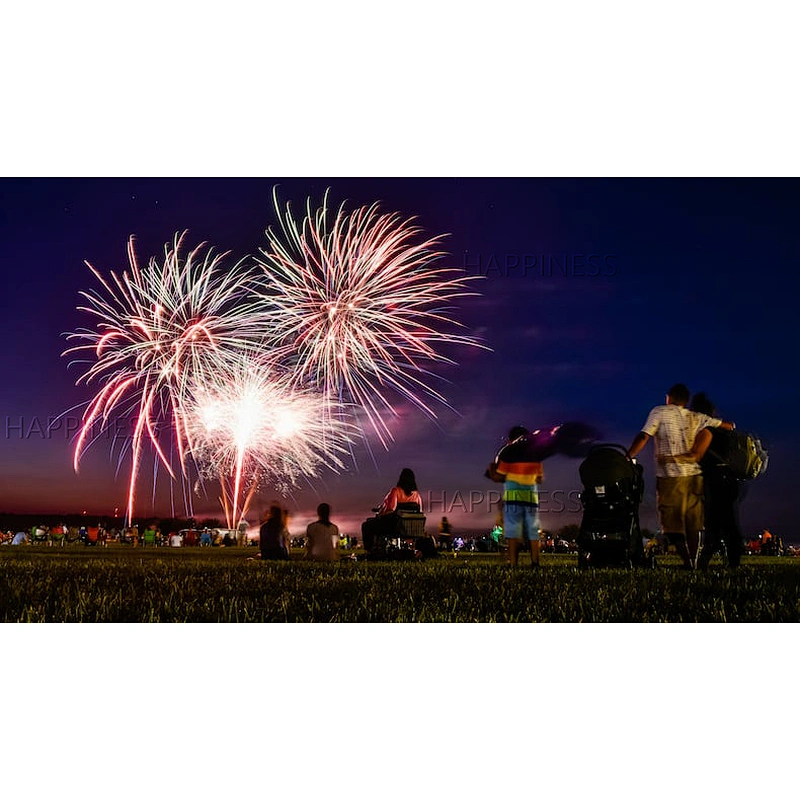 Professional Wire Control DBW03AUTO 24 Cue Fireworks Firing System Kit for Wedding Display Shells and Consumer Fireworks Shows