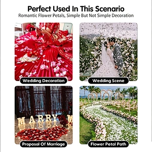 5X5cm Artificial Fake Rose Petals Colorful Simulation Silk Rose Petal for Valentines Day Wedding Party Romantic Decoration