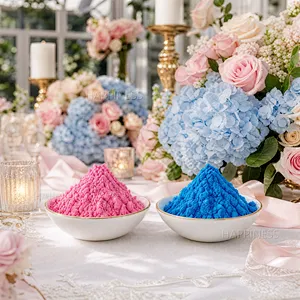 1kg/bags Powder Blue and Baby Pink Gender Reveal Powder Combination for Weddings & Celebrations