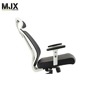 High back Fixed Armrest executive office high adjust mesh Chairs with lumbar support