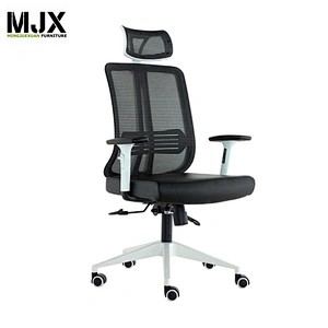 High back Fixed Armrest executive office high adjust mesh Chairs with lumbar support