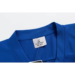 wholesale good quality fashion design blank ice hockey jersey