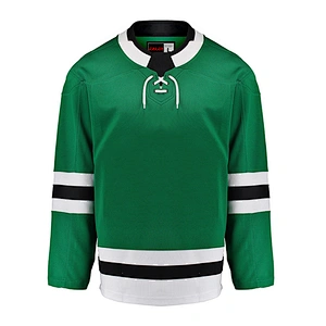 Dallas Stars EALER Blank Hockey Jerseys Home E019B