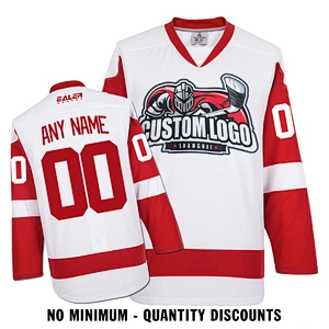 Custom Your Hockey Jerseys (Any Logo Any Number Any Name) Detroit Red Wings White ECD12