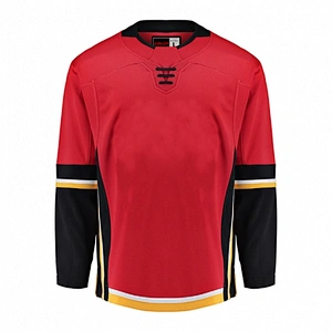 Calgary Flames  Blank Hockey Jerseys Home E020