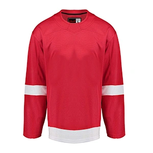 Detroit Red Wings  Blank Hockey Jerseys Home E007B