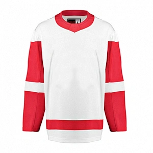 Detroit Red Wings  Blank Hockey Jerseys Away E008B