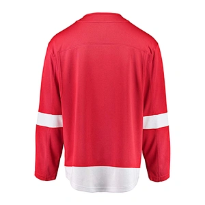 Detroit Red Wings  Blank Hockey Jerseys Home E007B