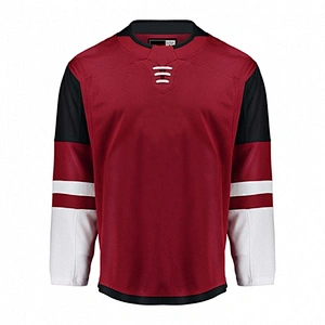 Arizona Coyotes Blank Hockey Jerseys Home E013