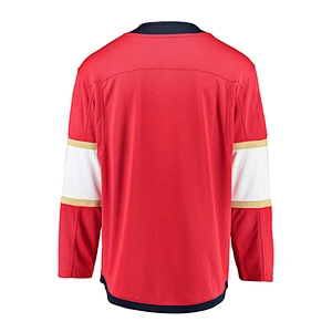 Florida Panthers Blank Hockey Jerseys Home E037