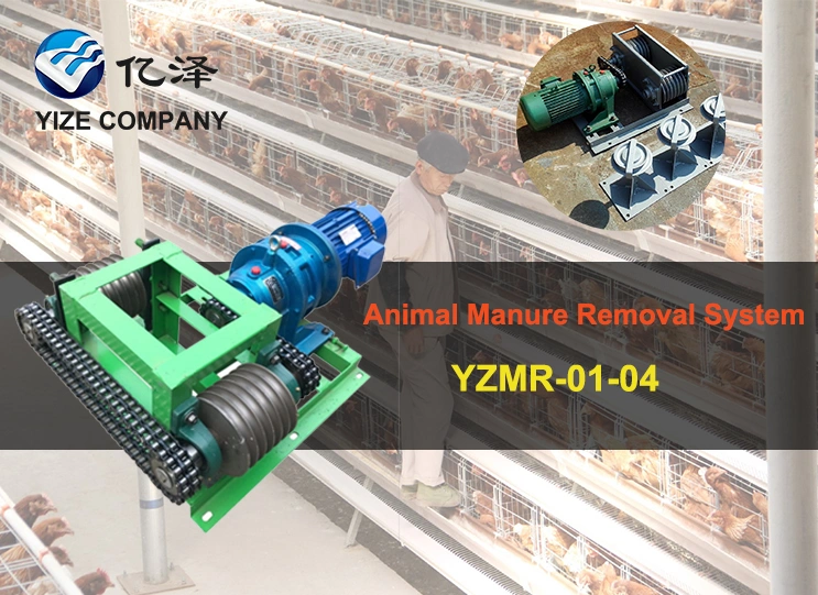 Poultry manure removal system