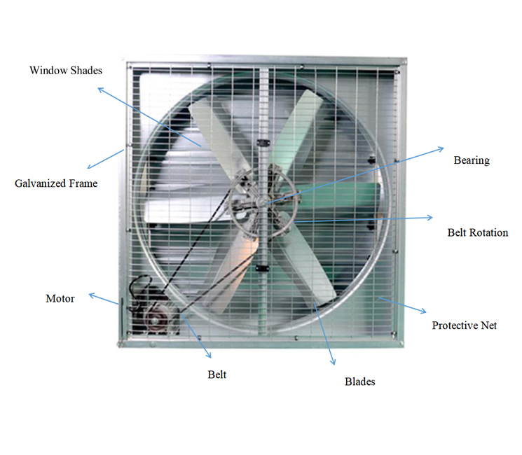 Exhaust Fan