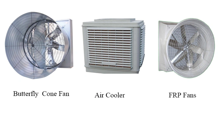 Exhaust Fan