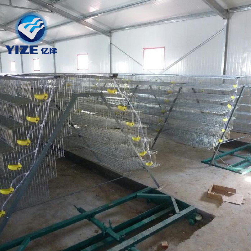 Automatic quail cage