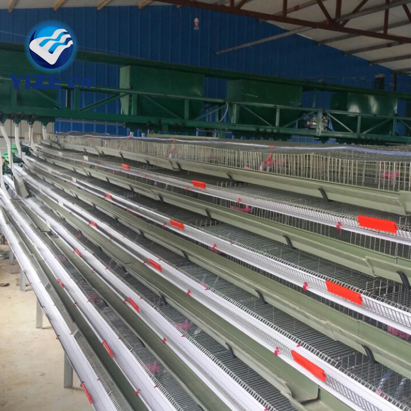 Automatic quail cage