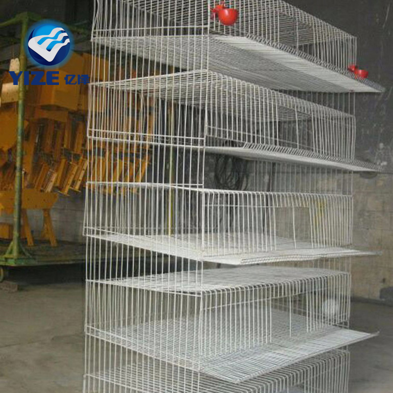 Automatic quail cage