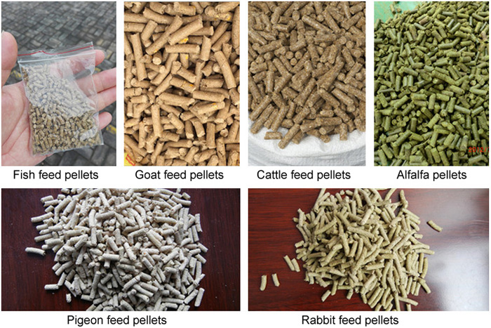 pellet machine animal feed