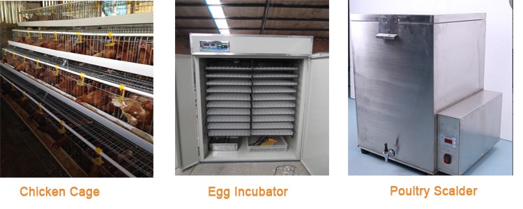 Poultry Plucker