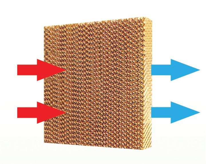 poultry pad cooling system