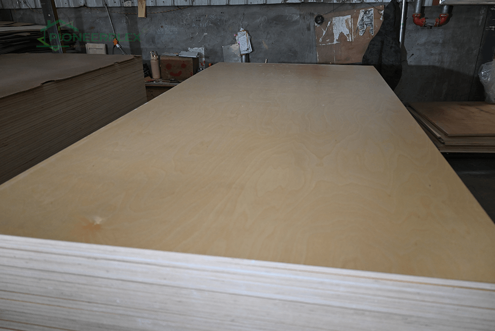 uv birch plywood ply