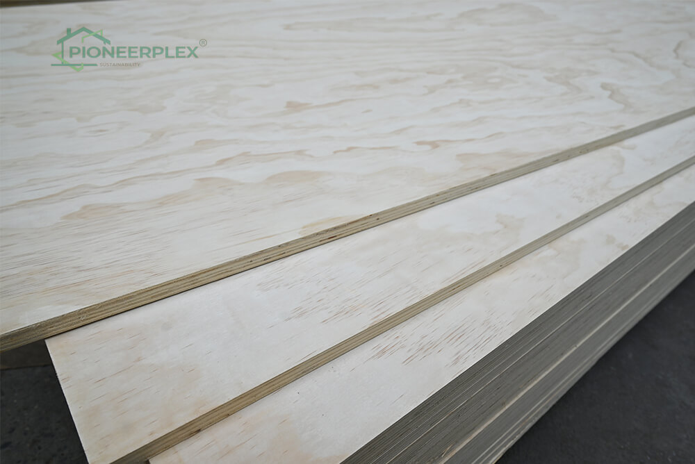 NON-STRUCTURAL PINE PLY