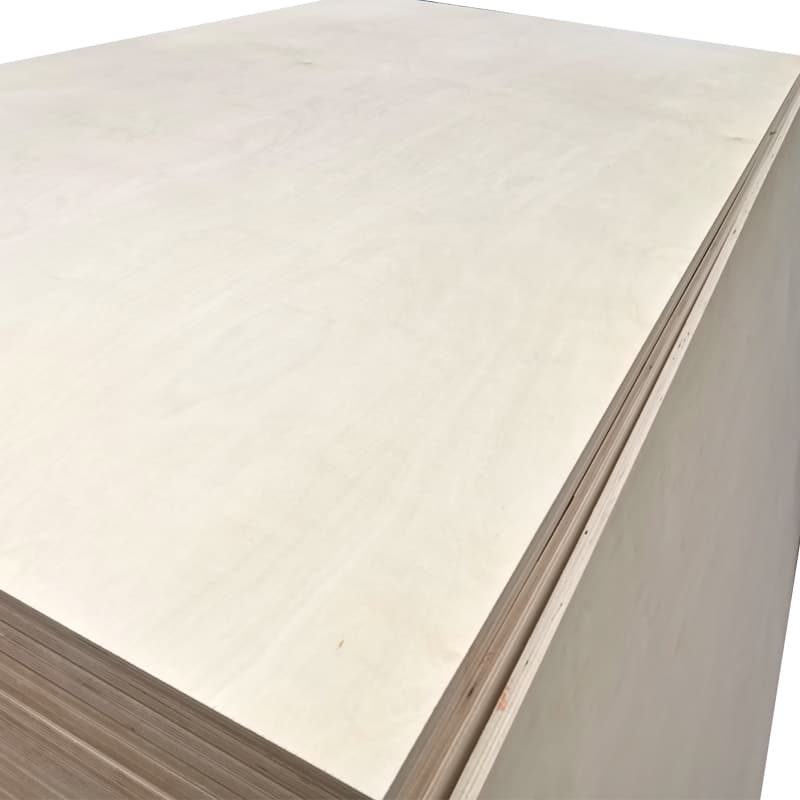 birch plywood