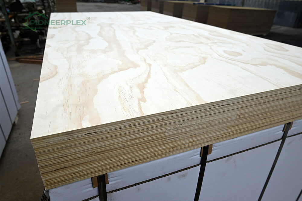 NON-STRUCTURAL PINE PLYWOOD