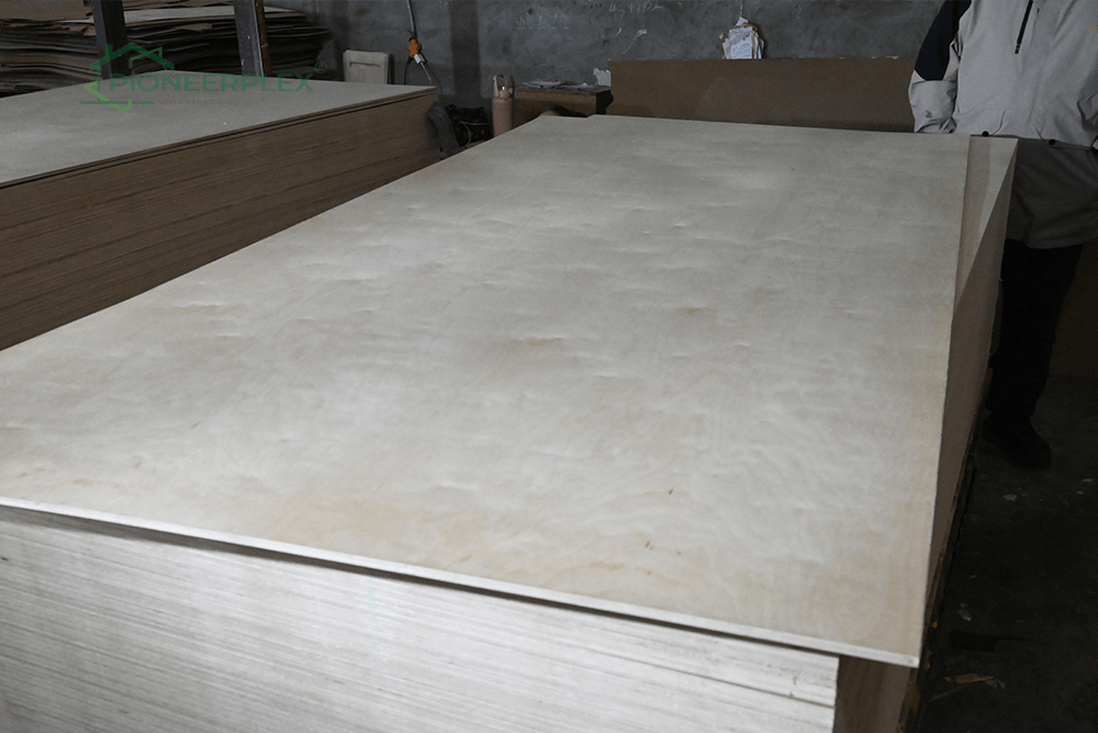 birch plywood