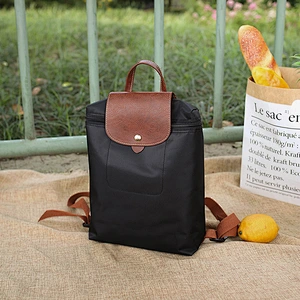 Simple Design Attractive Style Factory Price Casual Have A Zipper Polyester Bag Backpacks
