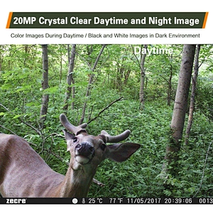 Wild forest hunting trail wireless security camera 1080P digital game cams