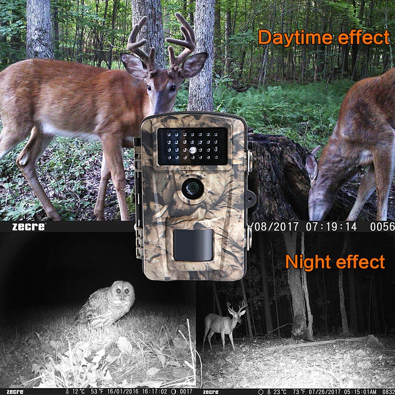 Factory Directly  12MP 1080P IP56  Waterproof Game Hunting Camera with Night Vision Motion Activated Trail Camera