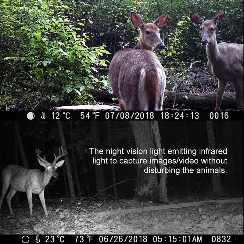 Trail Camera 1080P 12MP Game Camera for Hunting Camera with Night Vision IP56 Waterproof 120 Wide Angle Lens