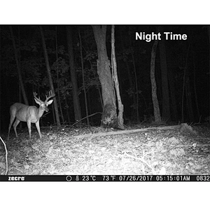 1080P Night Version Hunting Camera  Motion Detection Outdoor Wildlife Trail Cameras Photo Traps