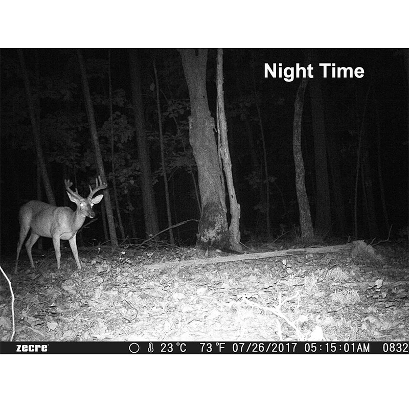 1080P Night Version Hunting Camera  Motion Detection Outdoor Wildlife Trail Cameras Photo Traps
