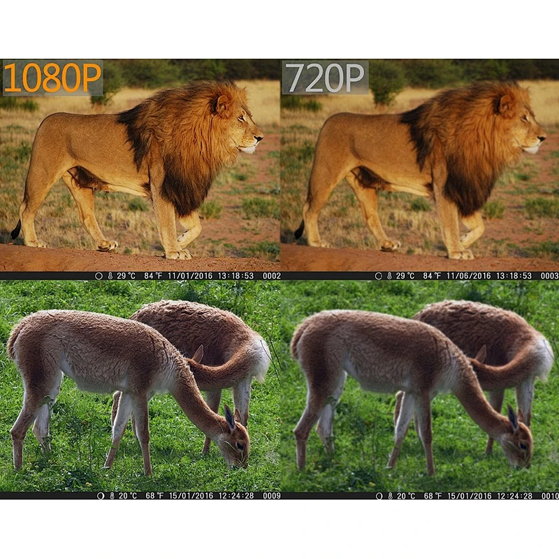 Wildlife Hunting Camera Motion Activated Vision Range 80Ft Farm Security Scouting and Monitoring