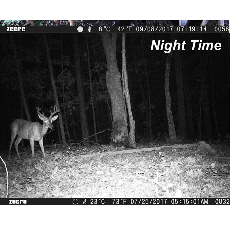 2020 SMS MMS 3G IP66 Hunting Camera 0.2 trigger time game camera 1080p FHD trail camera for wholesale