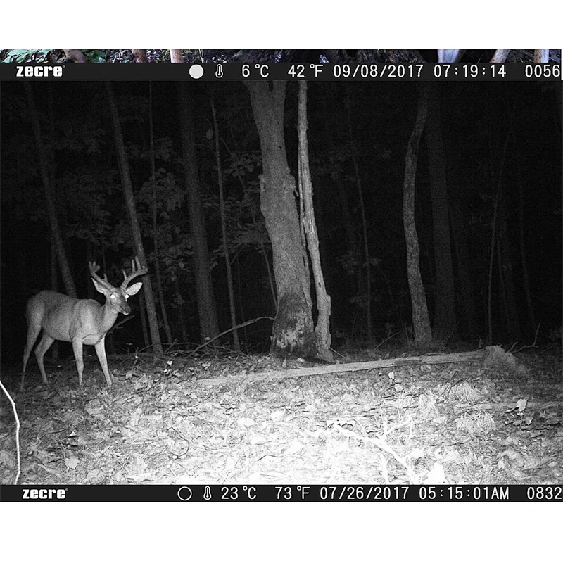 20mp willfine hunting camera 3g  1080p deer hunting trail camera IP66 outdoor trail camera housing