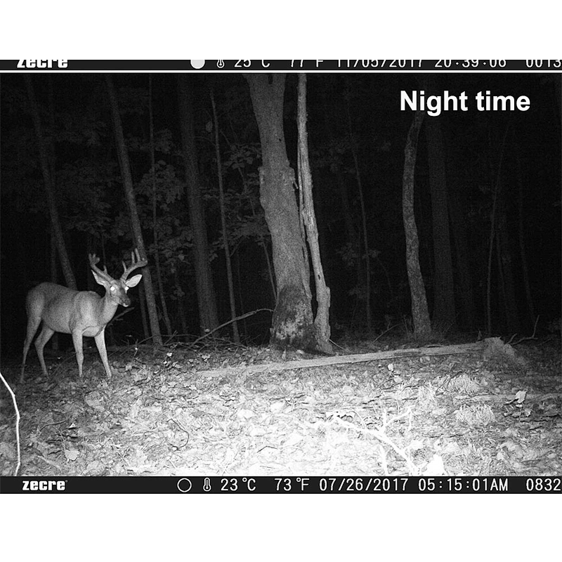 1080P Night Vision Digital Wild Game Trail cam  hot selling ODM OEM trial camera for hunting