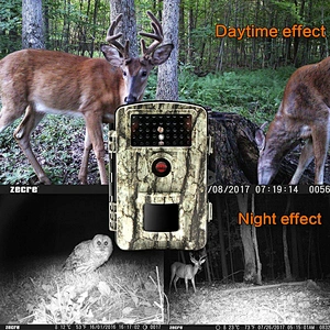 90 Degree Detecting Range Motion Activated Night Vision 2.4 LCD IR LED Hunting Scouting Cam for Wildlife