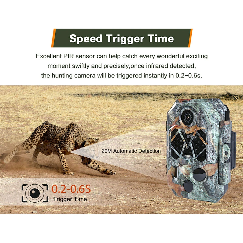 2020 Trail Hunting Camera  4K stealth cam 32mp wildlife camera for wholesale