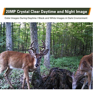 FTP motion sensor wildlife 3G  hunting cam  MMS SMS  trail camera with camouflage shell