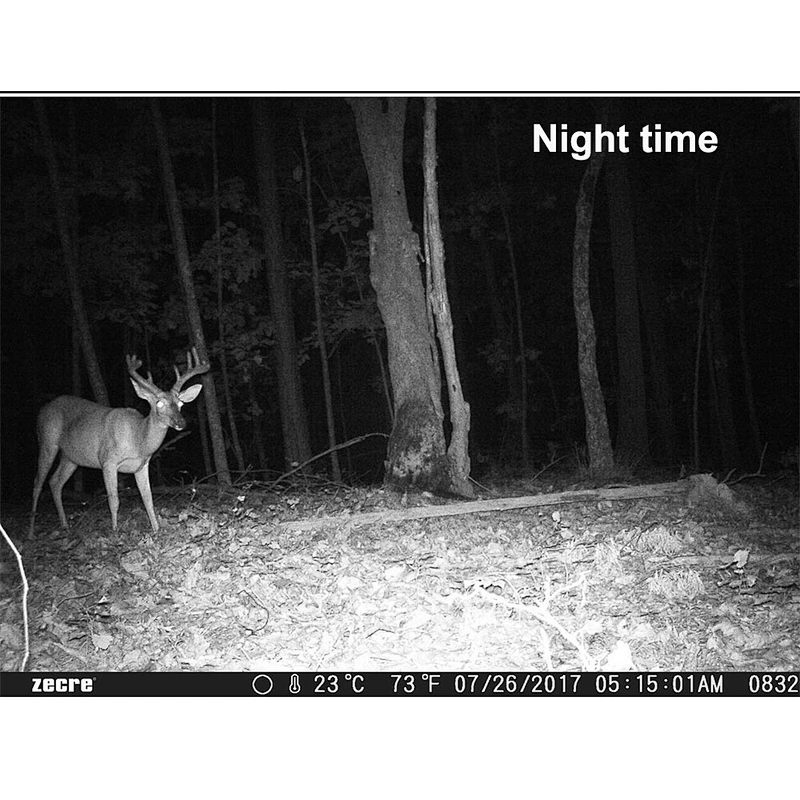 Factory Digital Trail Hunting Camera 1080p IP 66 Weatherproof 0.2s Trigger Wildlife camera