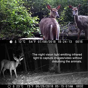 12MP 1080P cheap Hunting Camera with 27pcs IR 940NM LEDs Infrared Night Vision up to 80ft IP56 Waterproof
