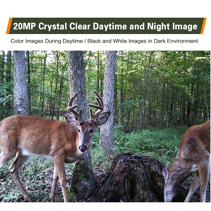 20mp willfine hunting camera 3g  1080p deer hunting trail camera IP66 outdoor trail camera housing