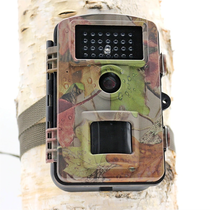 Custom Design Long Distance 80 Feet Night Vision Invisible IR Outdoor Trail Camera